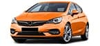 De beste CNG gasauto's: Opel Astra Opel Astra 1.4 ECOTEC